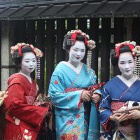 Maikos and Kyoto Festivals: A Celebration of Tradition