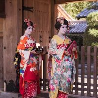 Daily Life of a Maiko: a blend of tradition, discipline, and artistry